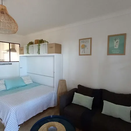 Apartamento Magnifique Front De Plein Centre